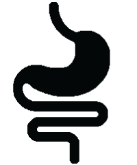 gi