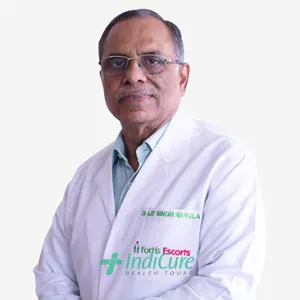 Dr. Ajit Singh Narula