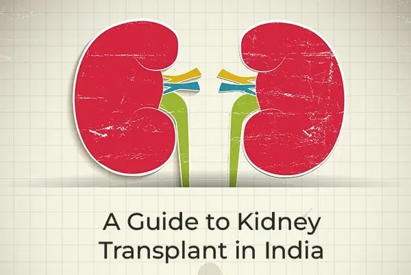 Title picture for guide to kidney transplant in India