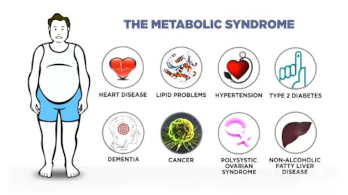 The Metabolic Syndrome